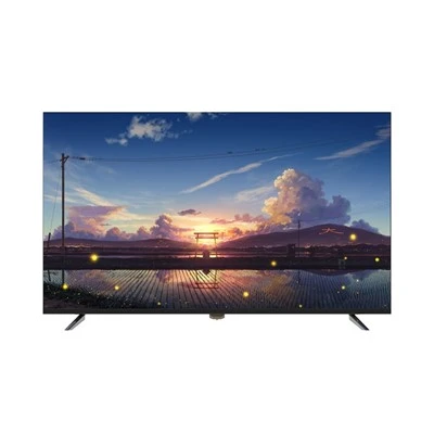 55 tommer SKD Smart 4K Netflix TV